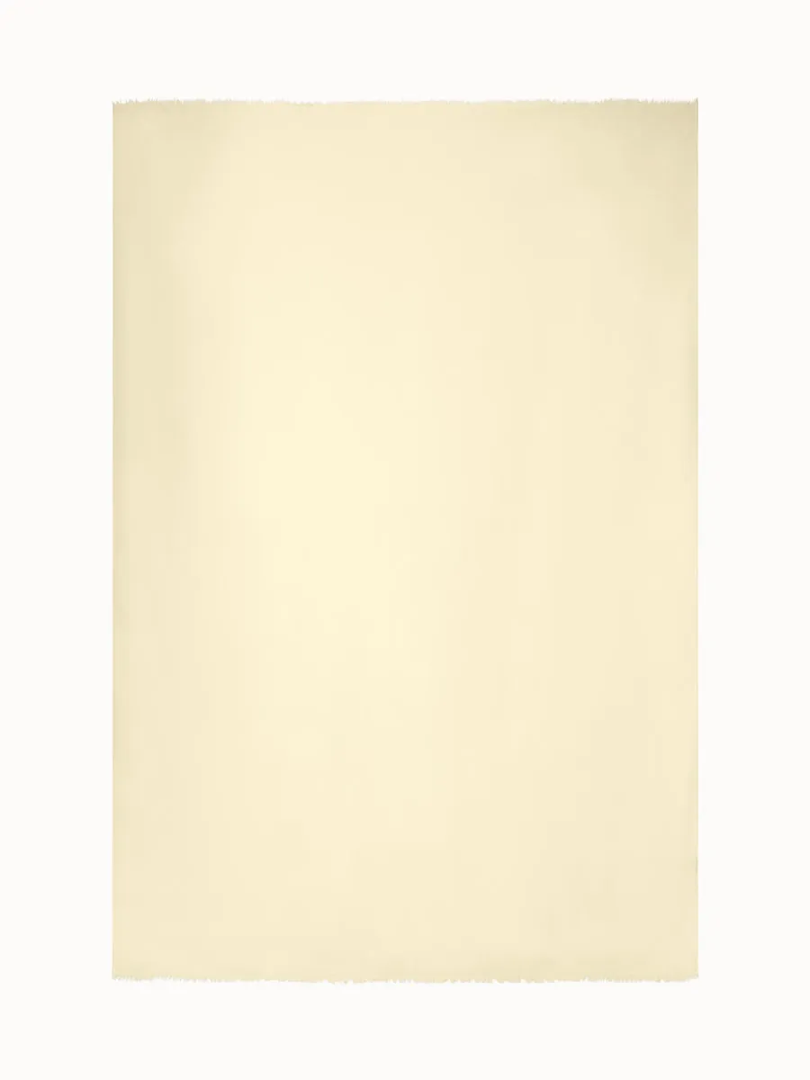 Cashmere Silk Scarf