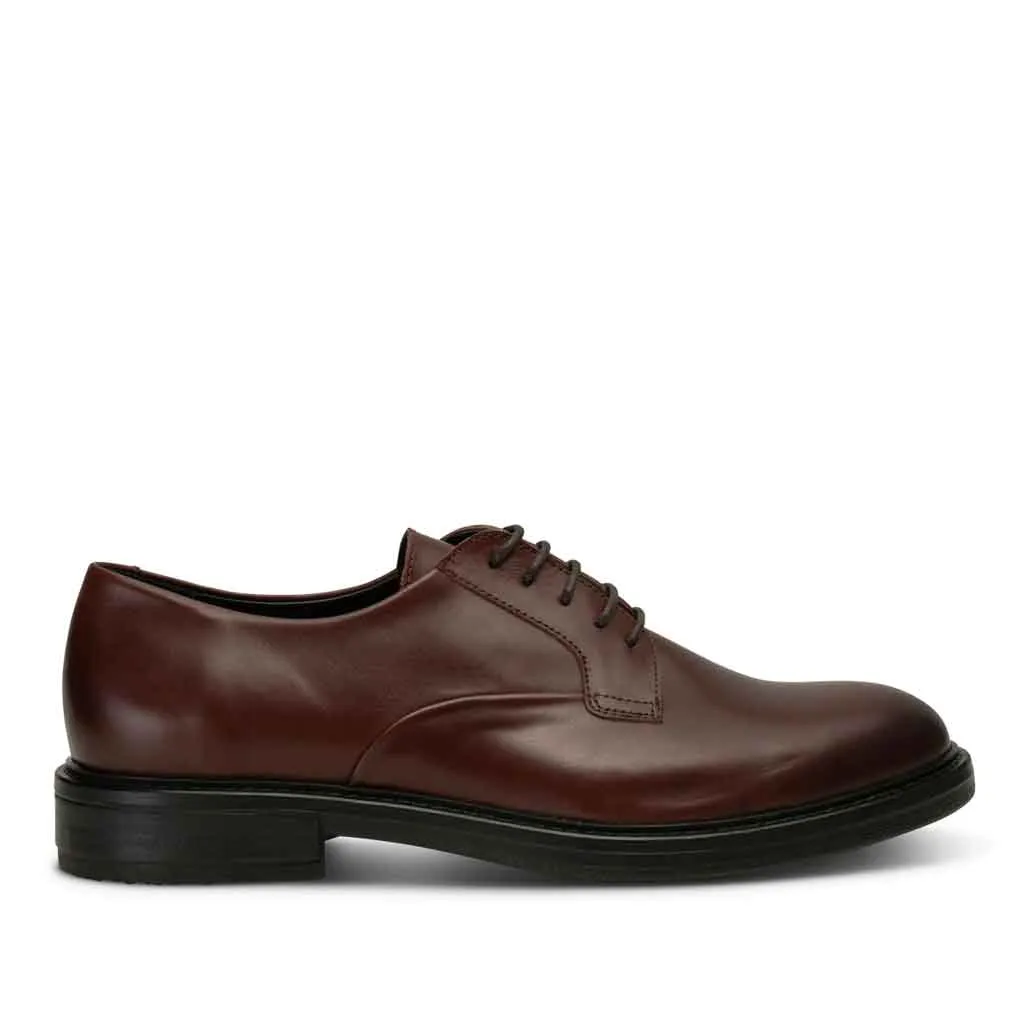 Shoe the Bear Stanley Derby Shoe - Chestnut